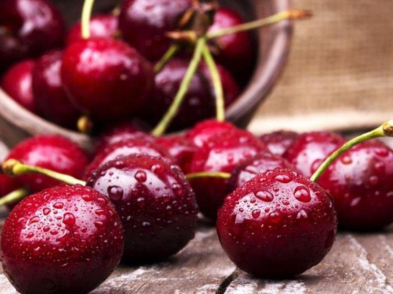 Вишня купить саженцы из питомника в Магадане